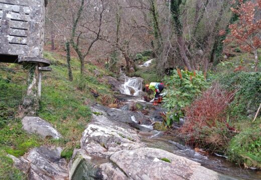 A Xunta executa actuacións de limpeza nos treitos interurbanos de nove ríos no concello de Carnota